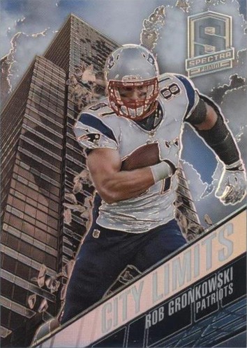 2013 Panini Spectra Rob Gronkowski #40