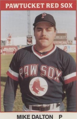 1987 TCMA/CMC International League - Mike Dalton #178