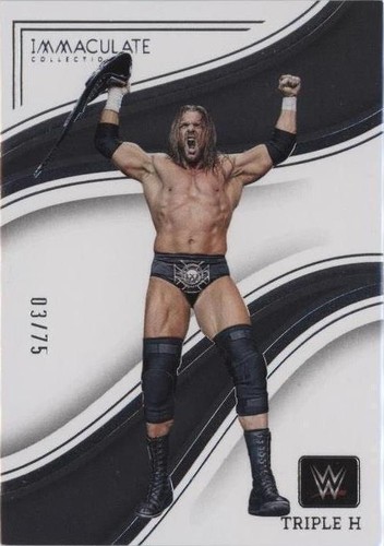2023 Panini Immaculate Collection WWE - Triple H #25