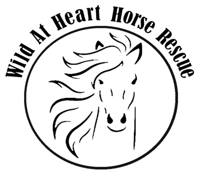 Wild at Heart Horse Rescue, Inc