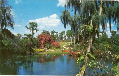 Florida ~ CYPRESS GARDENS ~ Postcard 15706