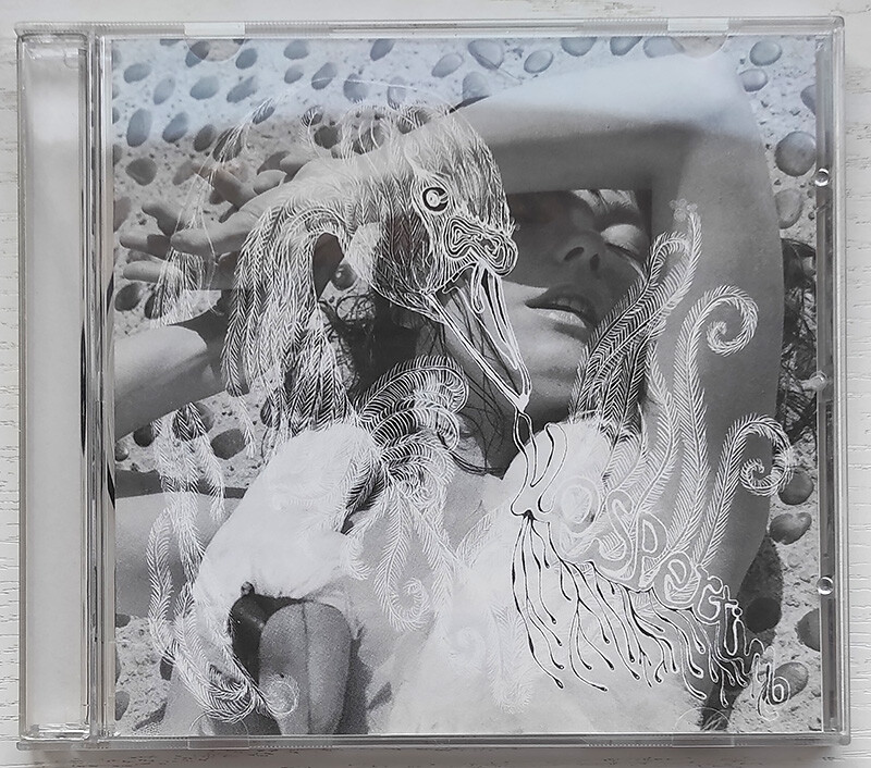 Björk Vespertine SACD 2001 帯付き 希少盤 Björk - Vespertine album - Taiwan Taiwanese CD - 2001 issue