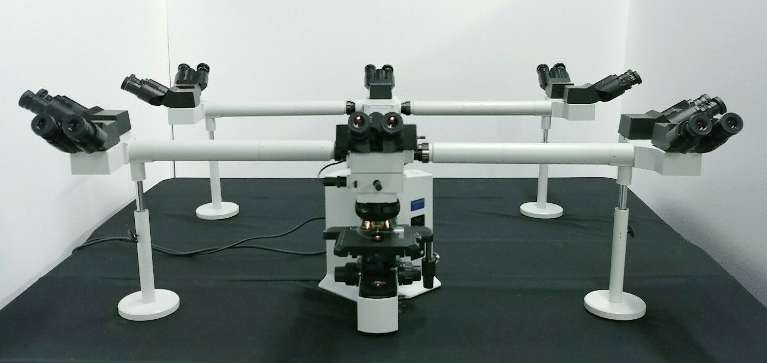 Olympus Microscope BX51 Multihead 10 Headed Teaching System