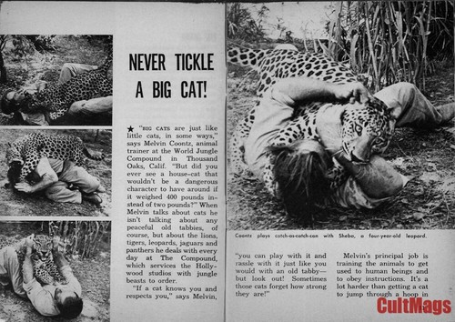 Carnival 1956 Nov Vol 2 No 11 Anita Ekberg digest vtg girlie pinup cheesecake