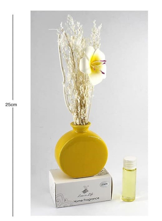 Diffusore Profumo Aroma Profumatore Ceramica Deodorante Ambiente 10ml 10181 dfh