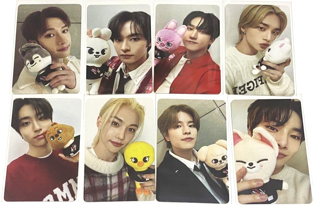 StrayKids SKZOO pilot まとめ売り Pilot Skzoo Clothes, Cute Skzoo, Pilot Skzoo Outfits, Stray