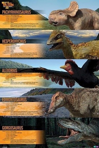 Dinosaur Cove Collection 全20巻セット　洋書　多読 Dinosaur Cove Collection 全20巻セット 洋書 多読