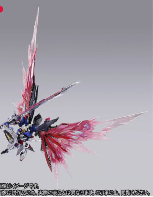 BANDAI METAL BUILD GUNDAM seed destiny FESTIVAL 2024 Special color matching
