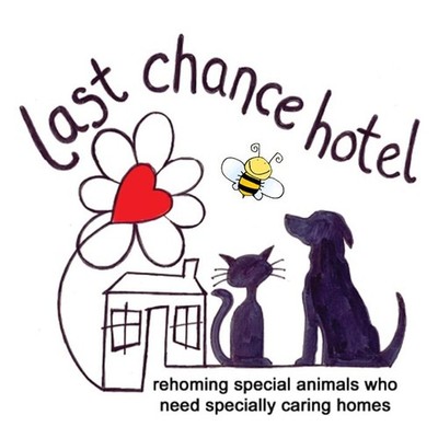 The Last Chance Hotel