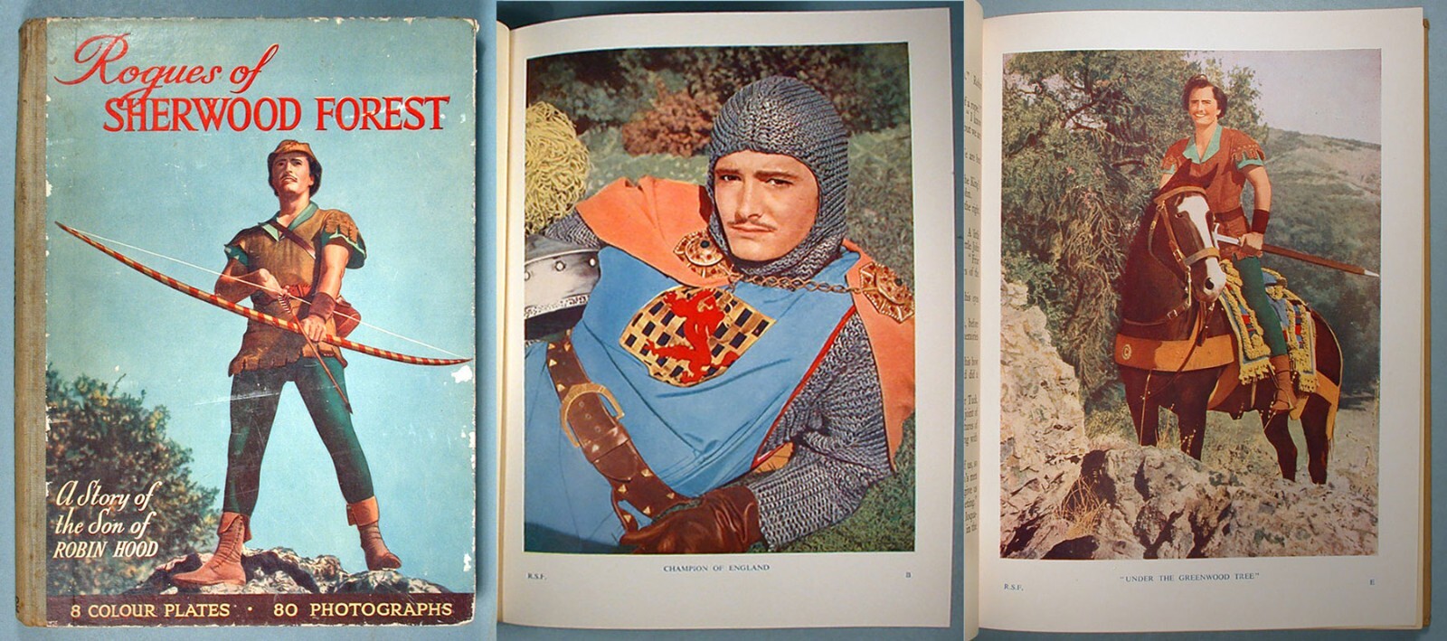 英語版 ゲームブック Robin of Sherwood 1巻 英語版 ゲームブック Robin of Sherwood 1巻 - メルカリ