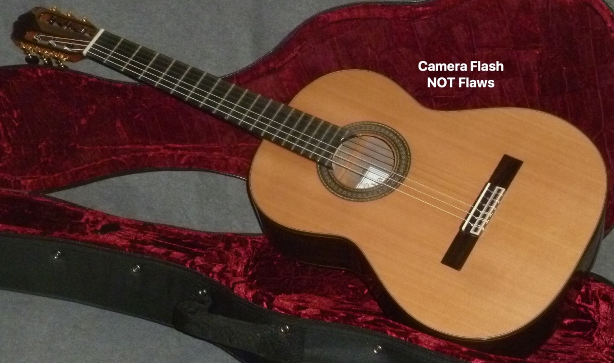 Cordoba 45CO Classical Acoustic Guitar COCOBOLO w Case LIST $1530