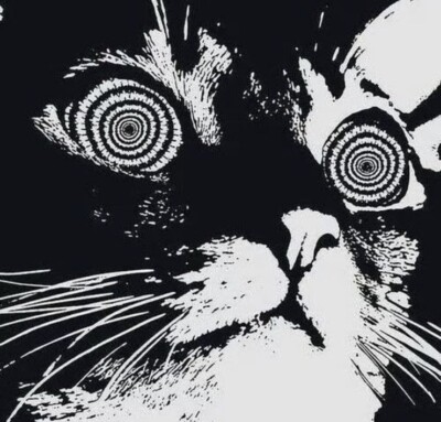 Black Cat Sticker 4  Trippy Silly Funny Kitty Head Meow