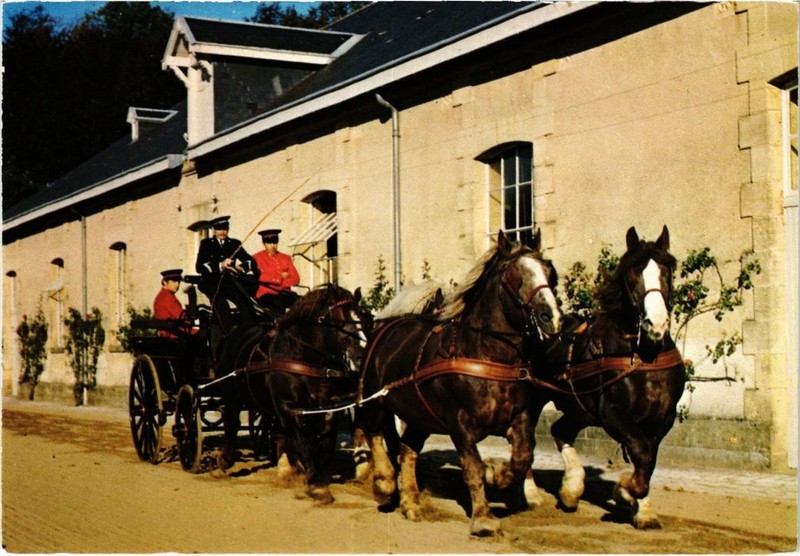 Cpm Arnac-Pompadour - Haras De Pompadour - Attelage A 4 De Bretons (1060607)