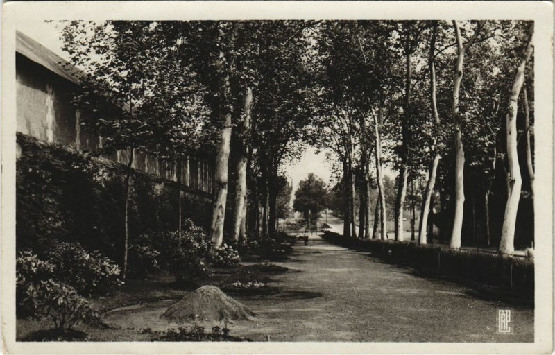 Cpa Ak Chateauroux Square Du Pont Neuf France (1177193)