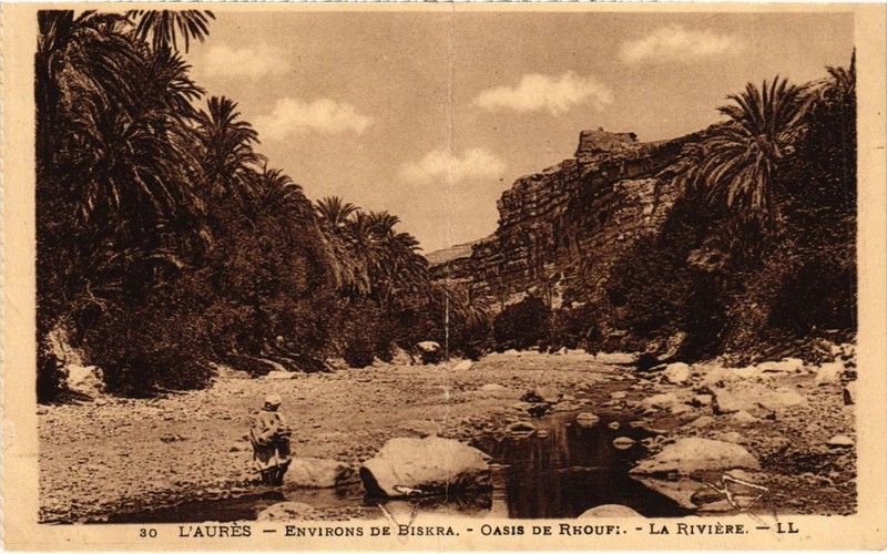 Cpa Ak Algeria Biskra Env - L'Aures - Oasis De Rhoufi - La Riviere (1189981)