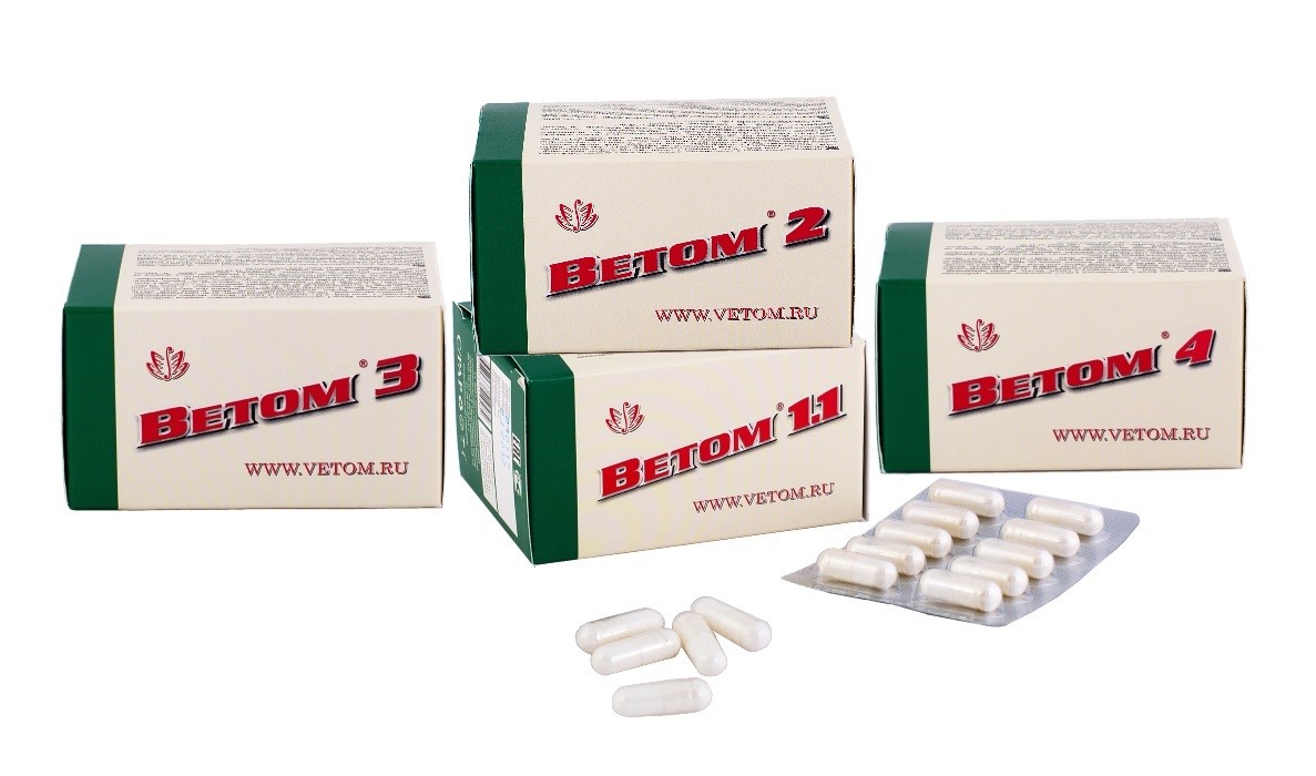 VETOM 1.1 2 3 4 Nahrungsergänzungsmittel Kapseln Bacillus subtilis ВЕТОМ 1.1
