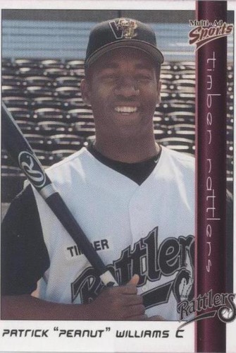 1999 Multi-Ad Sports Wisconsin Timber Rattlers - Patrick Williams #28
