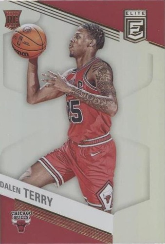 2022-23 Donruss Elite - Dalen Terry #238