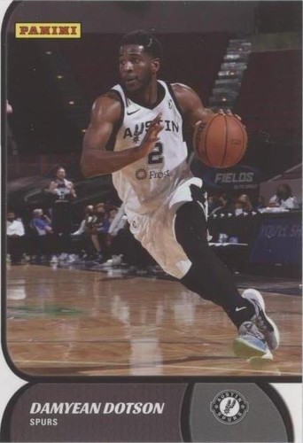 2021-22 Panini NBA G League - Damyean Dotson #8