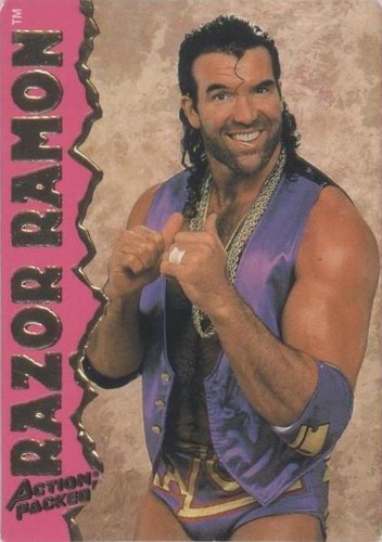 1995 Action Packed WWF - Scott Hall #3