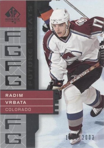 2002-03 SP Authentic - Radim Vrbata #113
