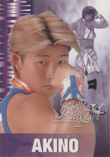 2001 Future Bee Women's Pro-Wrestling Collection - Akino #068