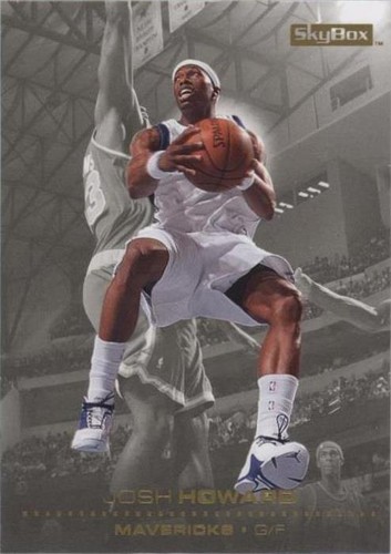 2008-09 Skybox - Josh Howard #30