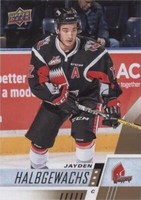 2017-18 Upper Deck CHL - Jayden Halbgewachs #41
