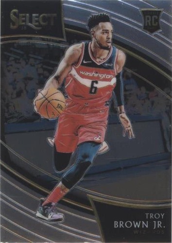 2018-19 Panini Select - Troy Brown Jr. #241