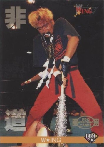 1996 BBM Pro Wrestling - Hido #239