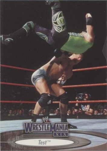 2003 Fleer Wrestlemania XIX - Test #58