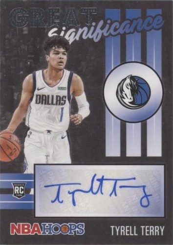 2020-21 Panini NBA Hoops - Tyrell Terry #GS-TTY