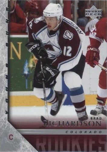 2005-06 Upper Deck - Brad Richardson #485