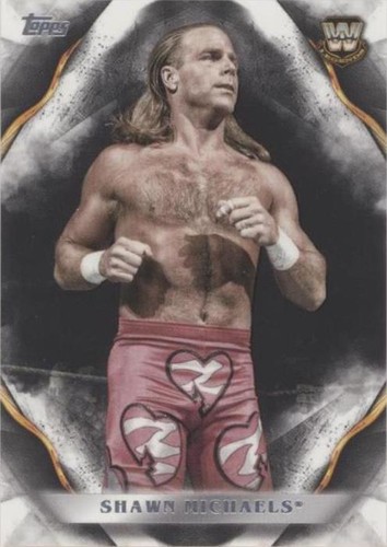 2019 Topps WWE Undisputed - Shawn Michaels #88