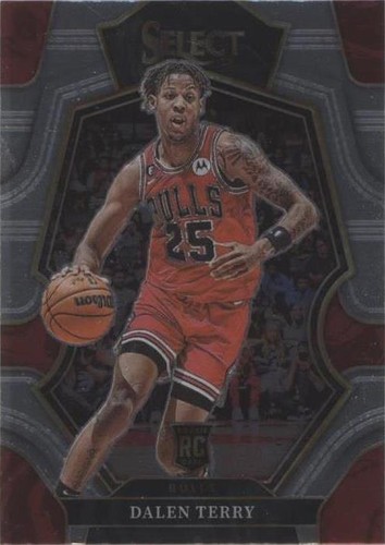 2022-23 Panini Select - Dalen Terry #188