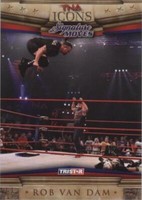 2010 TRISTAR TNA Icons - Rob Van Dam #24