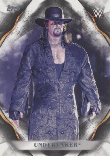 2019 Topps WWE Undisputed - Undertaker #73