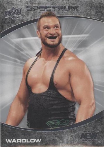 2021 Upper Deck AEW Spectrum - Wardlow #16