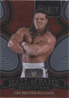 2022 Panini Select WWE - The British Bulldog #13