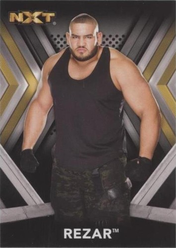 2017 Topps WWE NXT - Rezar #24