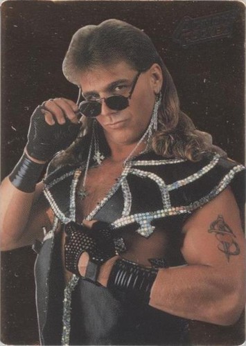 1994 Action Packed WWF - Shawn Michaels #38