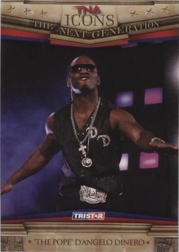 2010 TRISTAR TNA Icons - D'angelo Dinero #56
