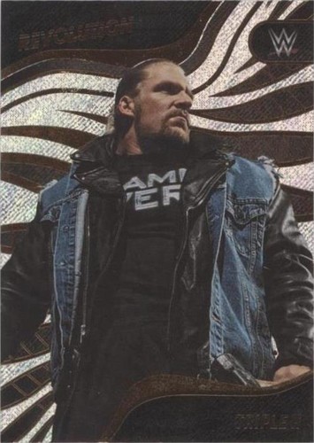 2023 Panini Revolution WWE - Triple H #102