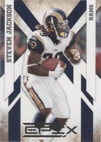 2010 Panini Epix Steven Jackson #91