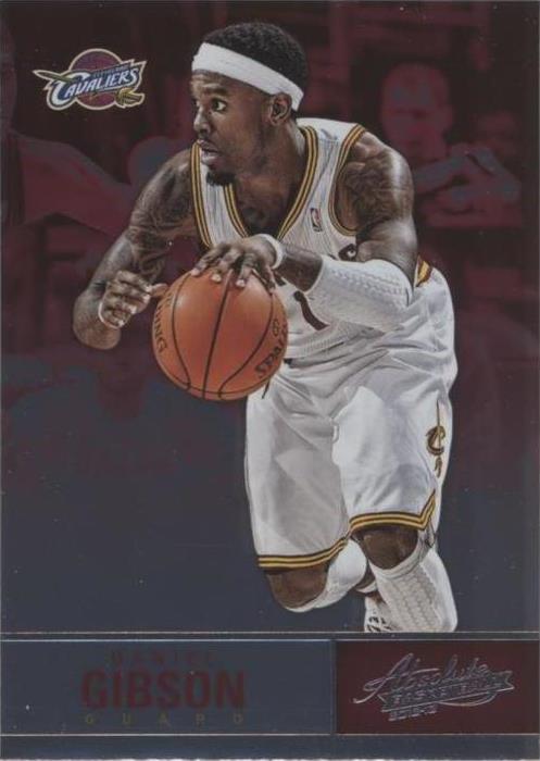 2012-13 Absolute - Daniel Gibson #61