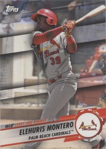2019 Topps Pro Debut - Elehuris Montero #LB-EM