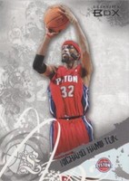 2006-07 Topps Luxury Box - Richard Hamilton #8