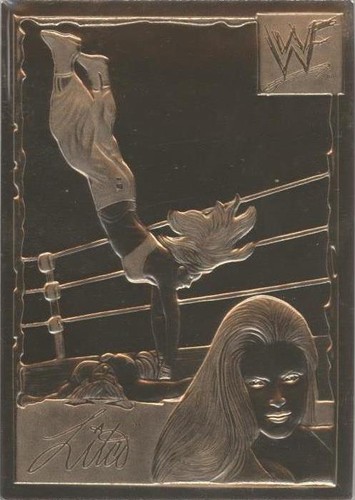 1999-2005 Danbury Mint 22k Gold WWF/E - Lita #15