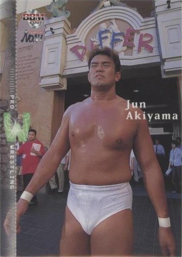 ECWプロレスカード ピットブルズ　BBM ECWプロレスカード ピットブルズ BBM ECWプロレスカード