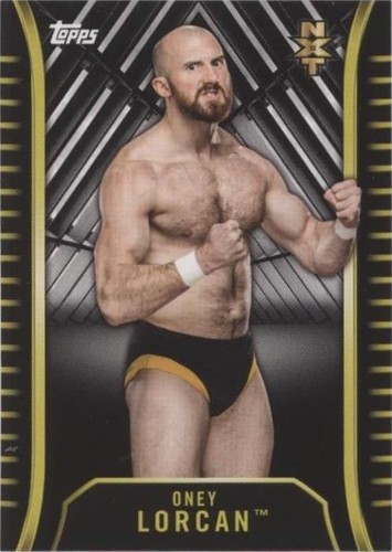 2018 Topps WWE NXT - Oney Lorcan #R-22